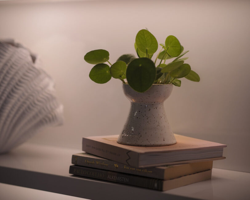 move-in-harmony-traning-yoga-mjolby-4